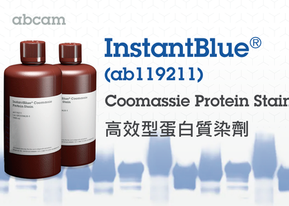 Abcam 熱銷產品—15分鐘快速蛋白染色! InstantBlue® 高效型蛋白質染劑 (ISB1L) (ab119211) - Abcam, 蛋白質染劑, coomassie blue, 考馬斯亮藍, 質譜分析, SDS-PAGE, 蛋白染色