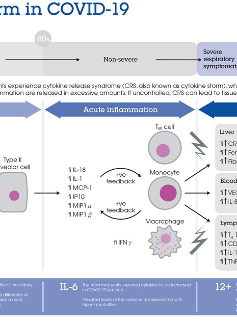 COVID-19 細胞激素風暴海報 - 新冠肺炎細胞激素風暴海報, COVID-19, Abcam, SARS-COV-2