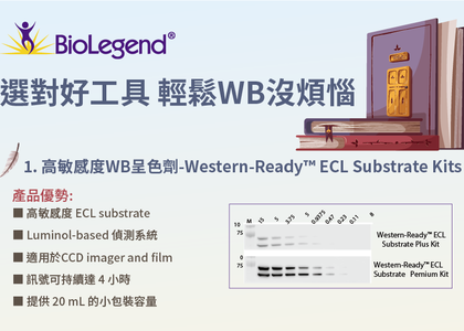 BioLegend 提供 Western 好工具給你使用! - 高敏感度WB呈色劑-Western-Ready™ ECL Substrate Kits