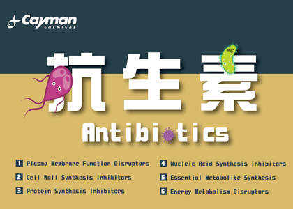 抗生素 Antibiotic - 抗生素 Antibiotic