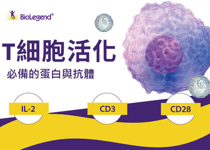 T細胞活化工具 -  IL-2 CD3 (Clone OKT3) CD28  