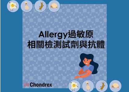 Chondrex Allergy過敏原相關檢測試劑與抗體 - Allergy, Gliadin, Peanut, Ovalbumin, House Dust Mite, Chondrex, antibody assay kit, antibody