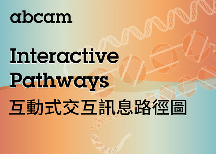 Interactive pathways 互動式交互訊息路徑圖 - Interactive pathways, 訊息路徑, poster, 海報, 傳導路徑