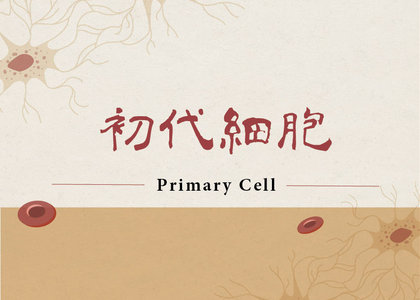 ScienCell 初代細胞 - 