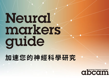 abcam - 神經指標抗體 Neural Markers Guide - abcam,神經, 抗體, Neural, Marker, Guide