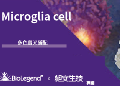 多色螢光搭配之 Microglia cell 的應用 - 多色螢光搭配之 Microglia cell 的應用