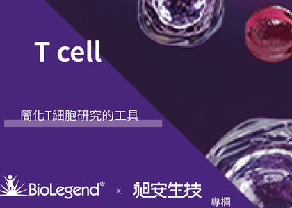簡化T細胞研究的工具 - 簡化T細胞研究的工具