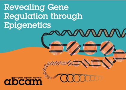abcam Epigenetics 表觀遺傳學 - abcam Epigenetics 表觀遺傳學 RNA DNA histome