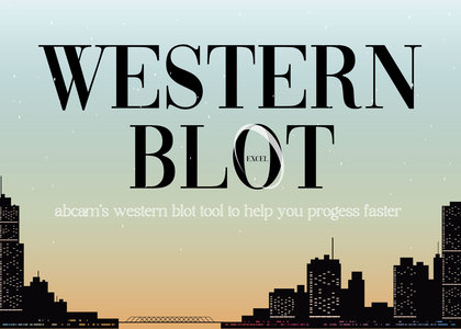 abcam - Western Blot Tool 你的WB小幫手 :D - abcam, WB, Western blot, 西方墨點法, 蛋白, 定量