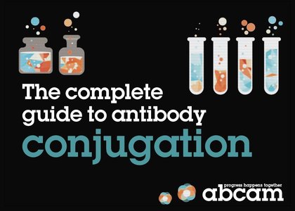abcam 抗體標定指南 Antibody Conjugation Guide - abcam 抗體標定指南 Conjugation Guide