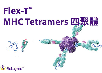 Flex-T MHC tetramer 四聚體 - Flex-T MHC tetramer 四聚體