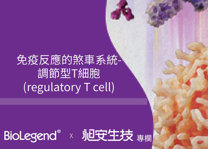 免疫反應的煞車系統-調節型T細胞 (regulatory T cell) - 免疫反應的煞車系統-調節型T細胞 (regulatory T cell)