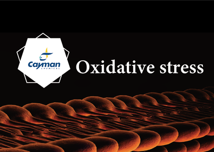 細胞氧化壓力分析檢測試劑套組，多樣化選擇滿足您實驗的需求 - 細胞氧化壓力分析檢測 Oxidative stress 氧化壓力 細胞氧化壓力 ROS free radical Hydrogen peroxide Lipid peroxidation Supero