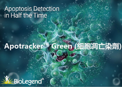 Apotracker™ Green 細胞凋亡染劑 - Apotracker™ Green , Annexin V, 細胞凋亡