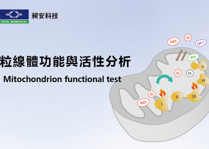 粒線體功能與活性分析 Mitochondrion functional test - 粒線體功能與活性分析 Mitochondrion functional test