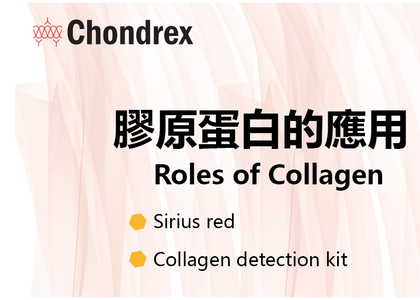 Chondrex 膠原蛋白試劑盒 Collagenase detection kit - collagen