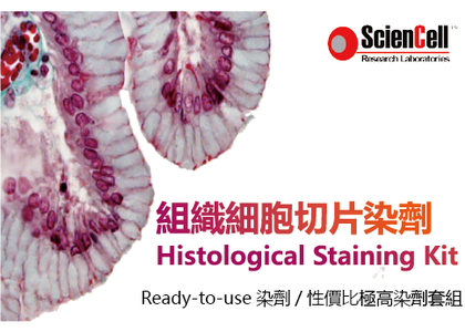ScienCell 細胞組織切片染劑套組 Histological Staining Kit - sciencell staining kit histological staining 