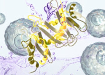 BioLegend 即用型重組蛋白 - GMP 抗體,GMP 蛋白,GMP 異種成分血清替代物
