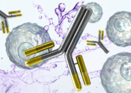 BioLegend 功能性抗體 - GMP 抗體,GMP 蛋白,GMP 異種成分血清替代物