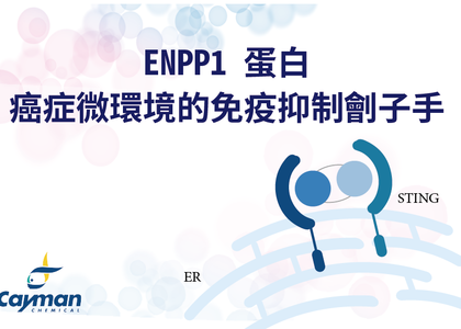 ENPP1 蛋白在腫瘤微環境中免疫抑制的角色 - ENPP1 Suppresses Immune Responses in the Tumor Microenvironment