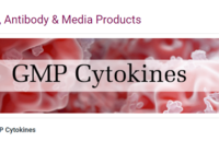 GMP-cytokine