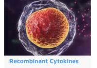 Recombinant Cytokines, Growth Factors