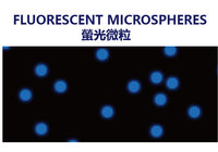 FLUORESCENT MICROSPHERES 螢光微粒