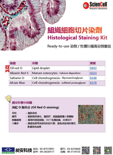 組織細胞切片染劑 Histological Staining Kit  - Oil red O ORO