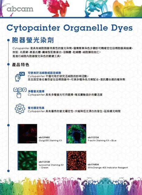 Cytopainter 胞器螢光染劑 - 螢光染色, 活細胞螢光染色, 細胞螢光, abcam