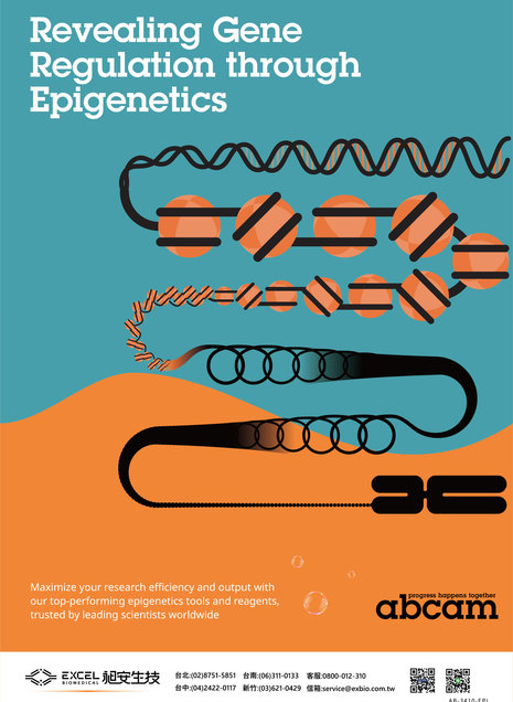 abcam Epigenetics 表觀遺傳學 - abcam Epigenetics 表觀遺傳學 抗體 antibody RNA DNA 修飾 modificaiton
