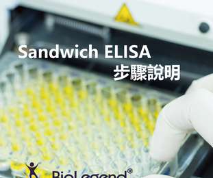 BioLegend Sandwich ELISA Protocol (雙抗夾心法 ELISA 檢測步驟說明) - Sandwich ELISA Protocol