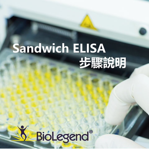 BioLegend Sandwich ELISA Protocol (雙抗夾心法 ELISA 檢測步驟說明) - Sandwich ELISA Protocol