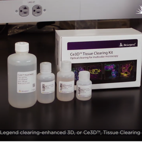 Ce3D™ Tissue Clearing Kit Staining Protocol for Microscopy(組織透明化試劑組操作步驟) - 組織透明化試劑、神經組織染色