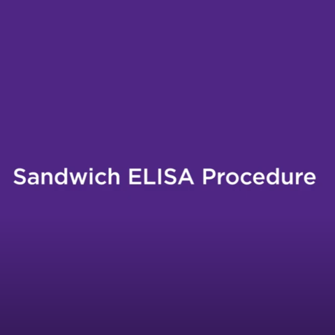BioLegend Sandwich ELISA Protocol (三明治酵素免疫分析法步驟) - Sandwich ELISA  protocol