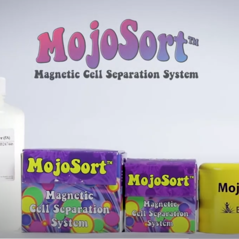BioLegend MojoSort 磁珠細胞分離教學視頻 - T細胞分離/MojoSort 磁性細胞分離